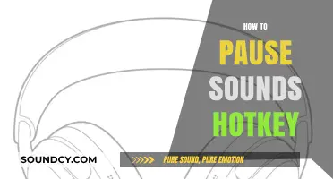 Mastering Audio Control: How to Pause Sounds with a Hotkey