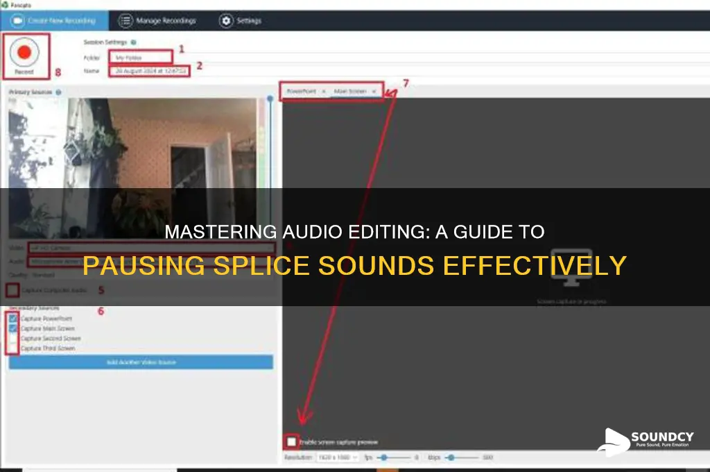 how to pause splice sounds