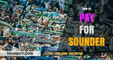 Smart Strategies to Afford and Pay for Your Sounder Subscription
