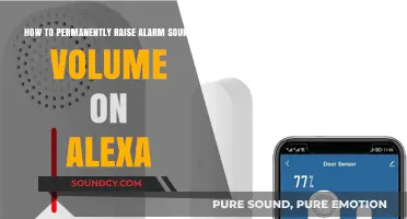 Alexa Alert! Permanently Boost Your Alarm Sound Volume Now