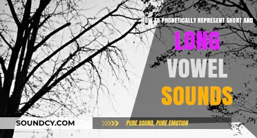 Mastering Vowel Sounds: A Guide to Phonetic Representation