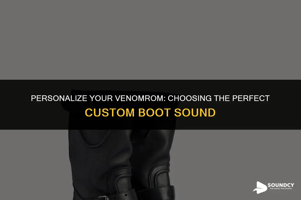 how to pick a custom boot sound in venomrom