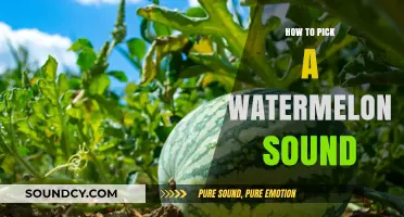 Selecting the Sweetest: Watermelon Thump Test