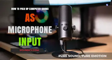 Capturing Computer Sound: A Guide to Using Microphone Input