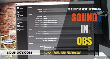 Enhance Your Audio: Tips to Capture Clear Sound in OBS