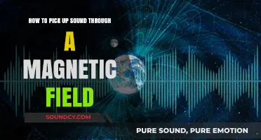 Exploring the Art of Magnetic Field Sound Pickup