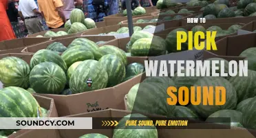 Master the Art of Choosing Watermelons by Listening to Their Sound