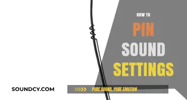 Mastering Audio: A Quick Guide to Pinning Sound Settings