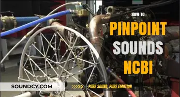 Mastering Sound Localization: Techniques to Pinpoint Sounds Using NCBI Resources