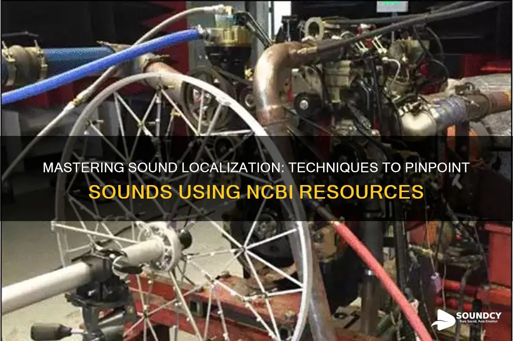 how to pinpoint sounds ncbi
