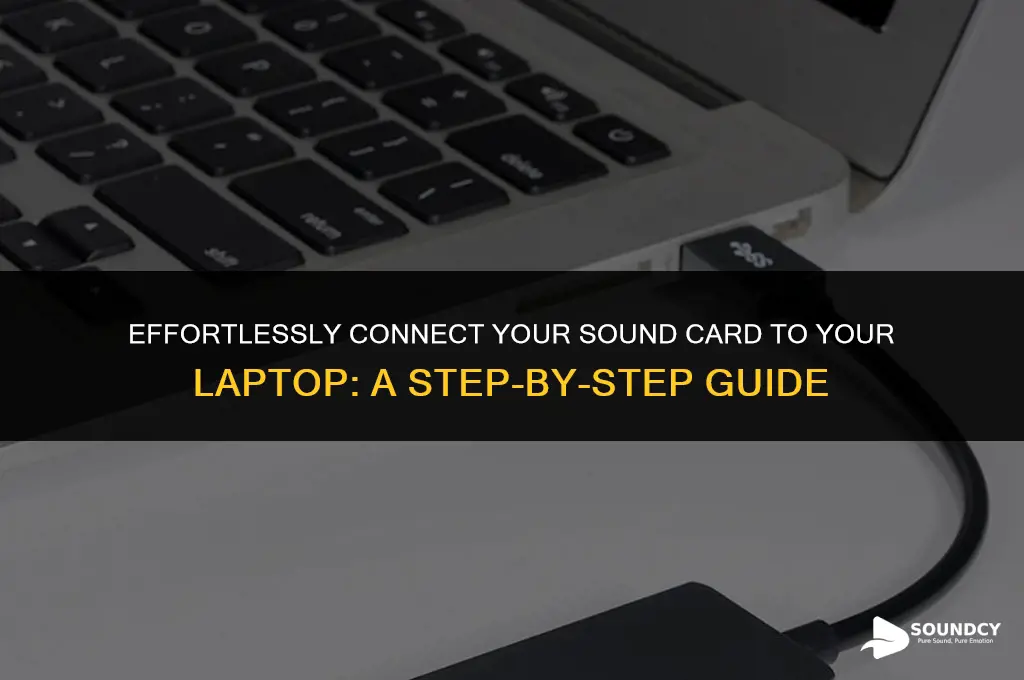 how to plug a sound card to a laptop