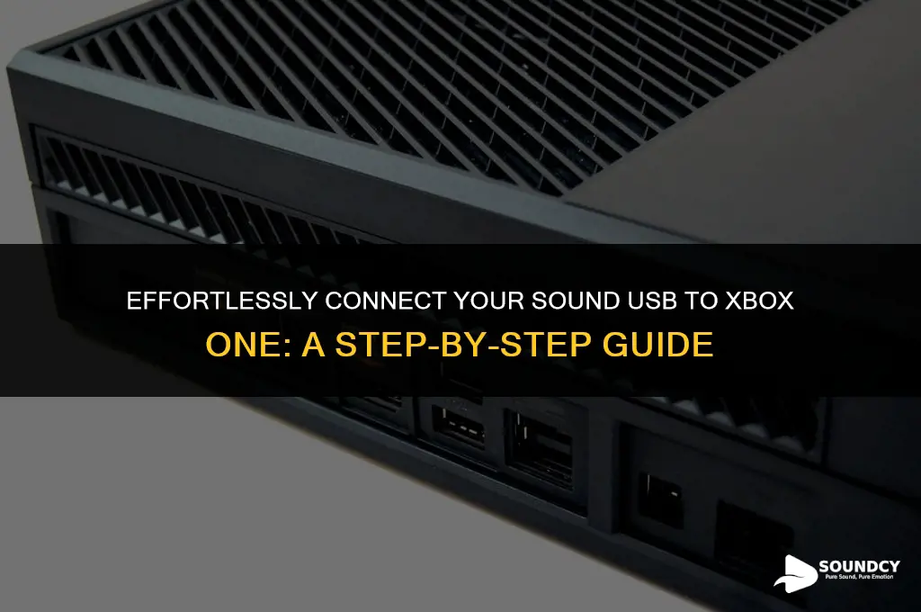 how to plug in sound usb to xbox one