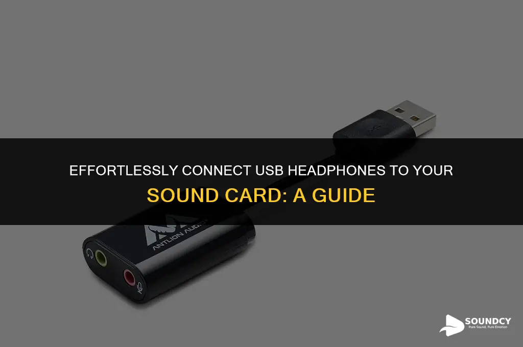 how to plug in usb headphones into sound card