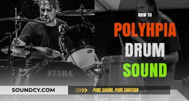 Mastering Polyphia-Inspired Drum Sounds: Techniques and Tips for Modern Drumming