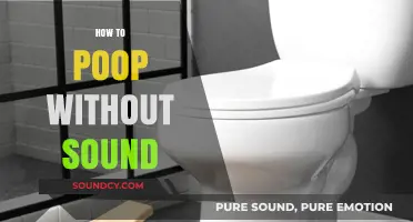 Silent Bathroom Tips: Master the Art of Noisy-Free Pooping