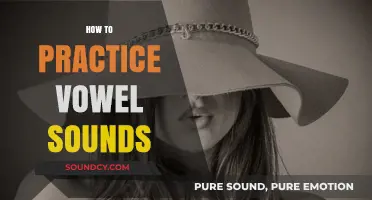 Mastering Vowel Sounds: Effective Techniques for Clear and Confident Pronunciation