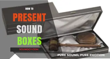 Mastering the Art of Presenting Sound Boxes: Tips and Techniques