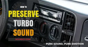 Preserve Your Turbo's Roar: Essential Tips for Maintaining That Iconic Sound