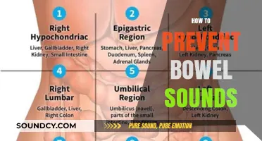 Effective Strategies to Minimize Bowel Sounds for Comfort and Confidence