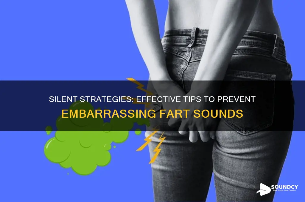 how to prevent fart sound