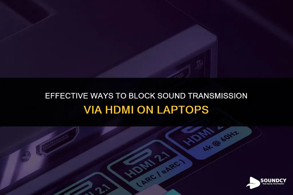 how to prevent sound from going through hdmi laptop