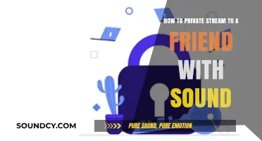 Securely Share Your Screen: Private Streaming with Sound to a Friend