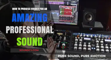 Elevate Your Vocal Tracks: Pro Tips for Professional Sound