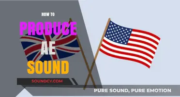 Mastering the AE Sound: Techniques for Clear and Accurate Pronunciation
