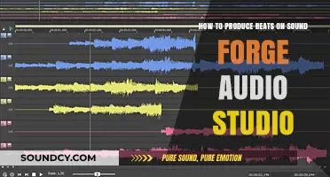 Crafting Beats: A Sound Forge Audio Studio Guide