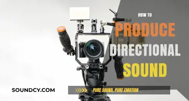 Mastering Directional Sound: Techniques for Focused Audio Projection