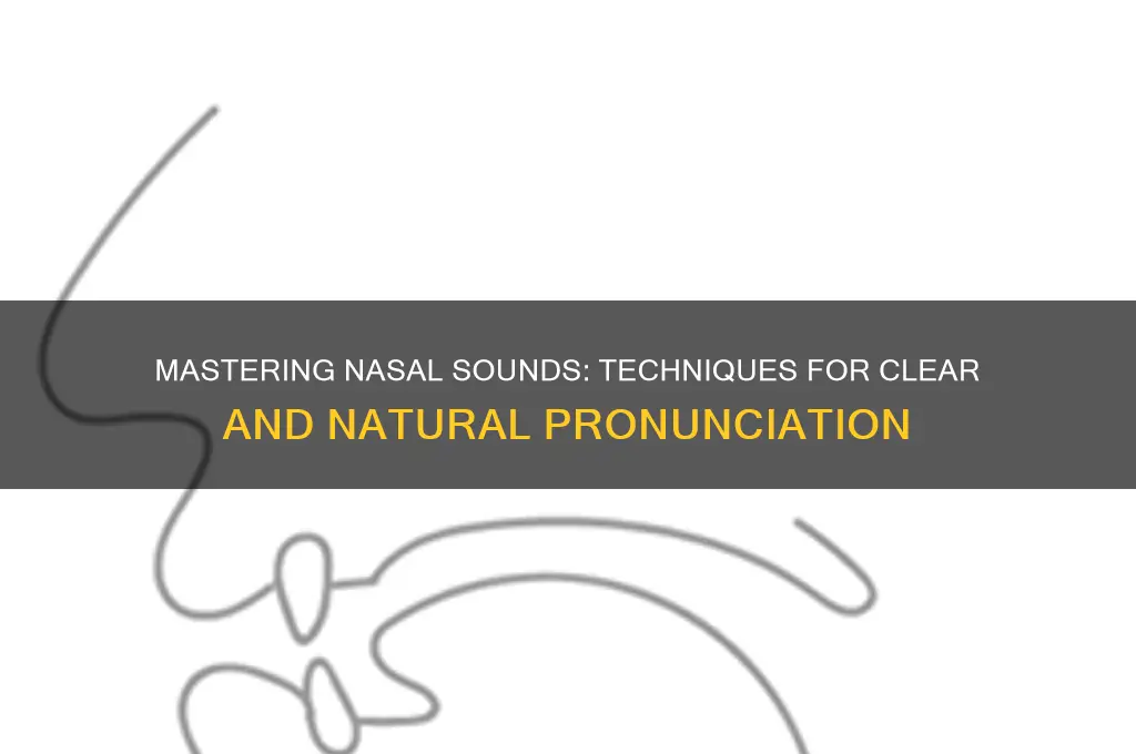 how to produce nasal sounds