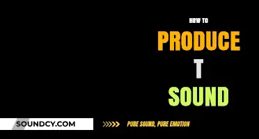 Mastering the T Sound: Techniques for Clear and Precise Pronunciation