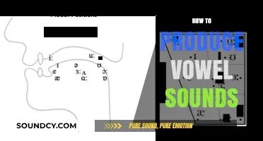 Mastering Vowel Sounds: Techniques for Clear and Accurate Pronunciation