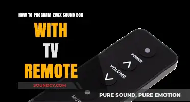 Effortlessly Program Your Zvox Soundbox Using Your TV Remote
