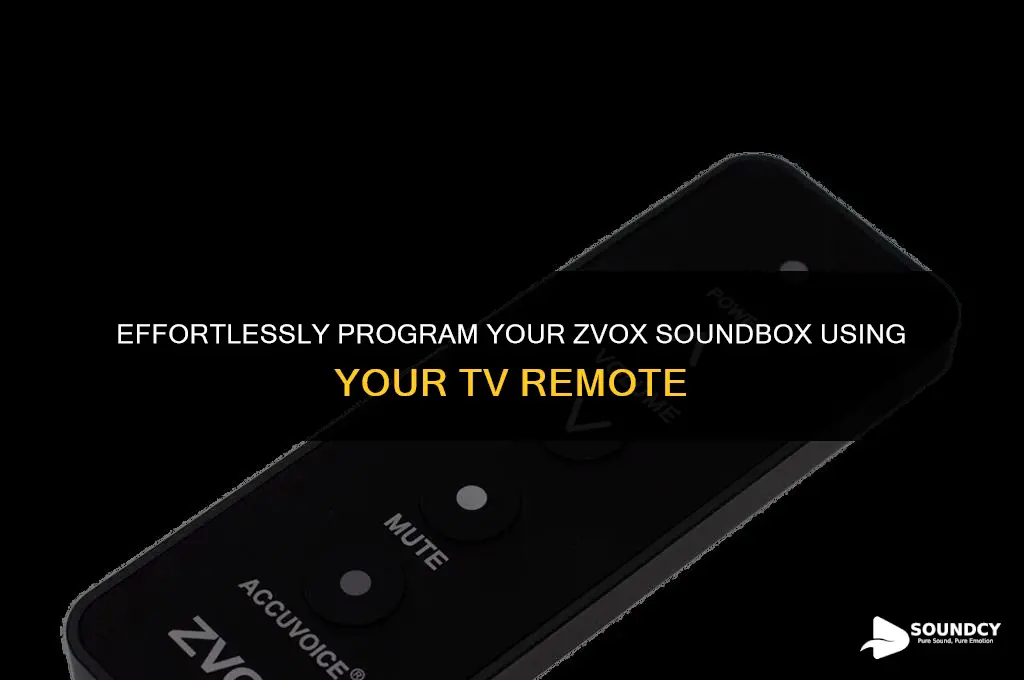 how to program zvox sound box with tv remote