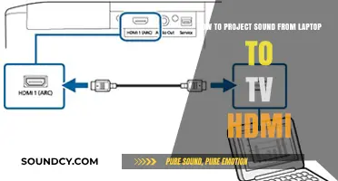 Effortless Audio: Projecting Laptop Sound to TV via HDMI