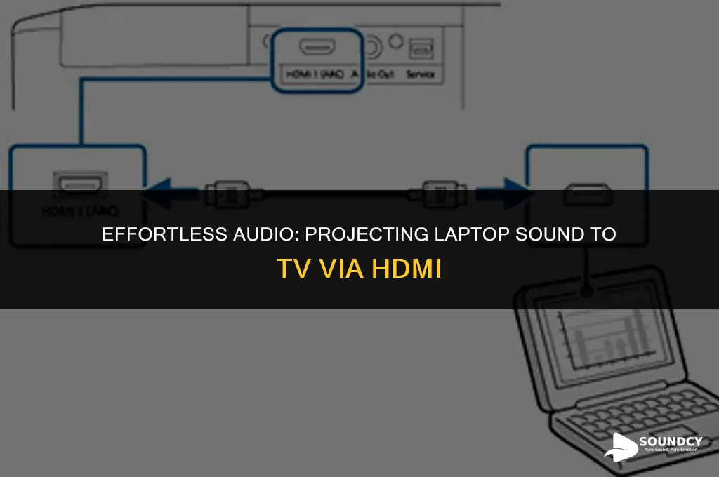 how to project sound from laptop to tv hdmi