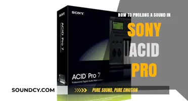 Mastering Sustain: Techniques to Prolong Sound in Sony ACID Pro