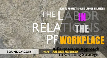 Fostering Harmony: Strategies for Sound Labor Relations in the Workplace