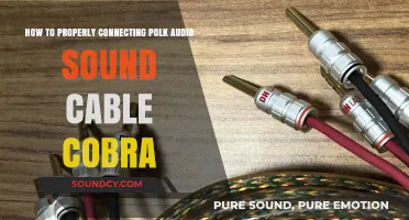Effortless Polk Audio Sound Cable Cobra Connection Guide