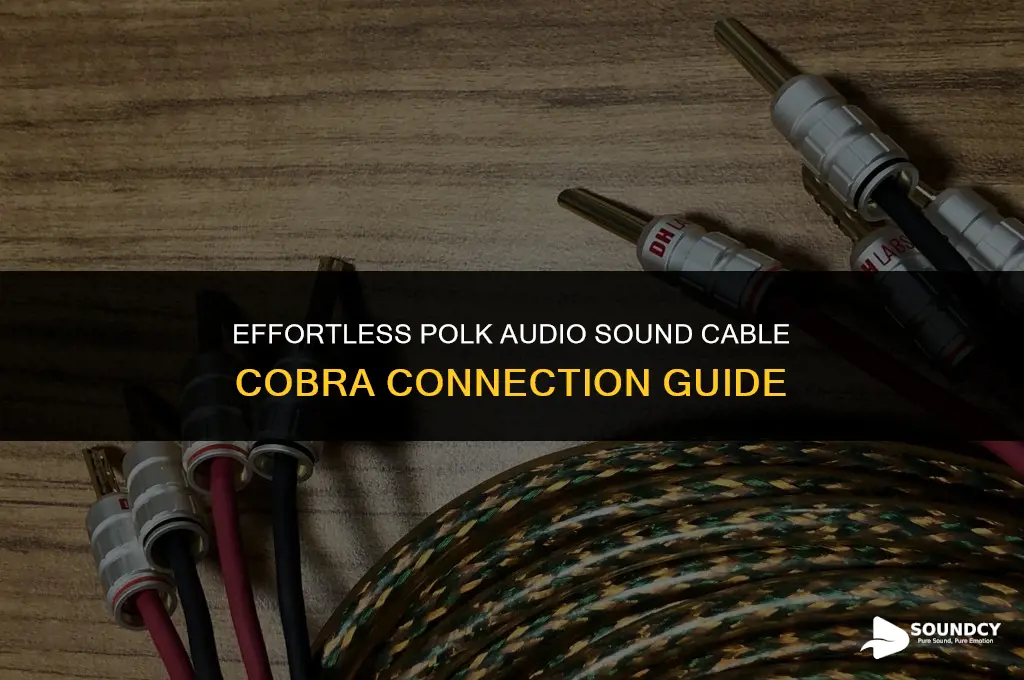 how to properly connecting polk audio sound cable cobra
