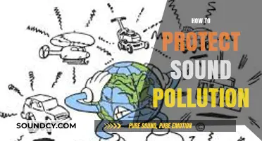Effective Strategies to Combat and Reduce Sound Pollution in Urban Areas