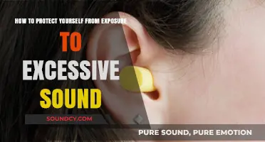 Safeguard Your Hearing: A Guide to Preventing Excessive Sound Exposure