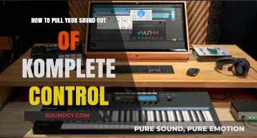 Unleash Your Sound: A Guide to Komplete Kontrol Integration
