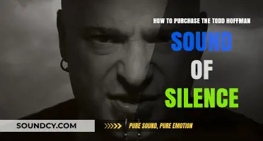 Exploring the Todd Hoffman Rendition of 'Sound of Silence': A Buyer's Guide