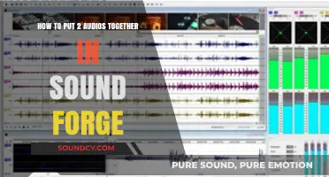 Merging Audio Tracks in Sound Forge: A Step-by-Step Guide