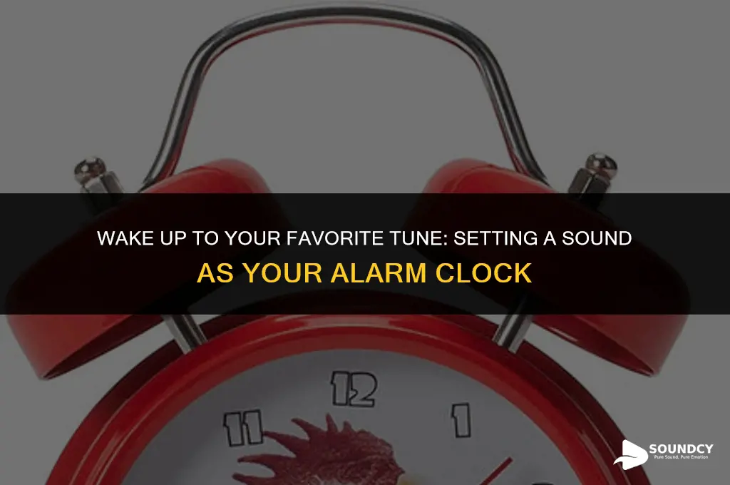 how to put a sound as your alarm clock