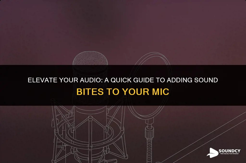 how to put a sound bit in your mic