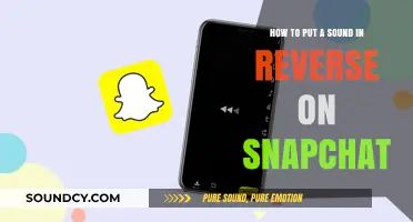 Reversing Audio on Snapchat: A Step-by-Step Guide