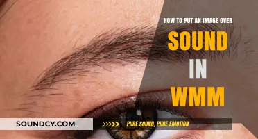 Layering Visuals and Audio: A WMM Guide for Beginners